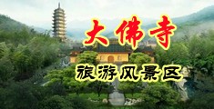 大鸡巴操免费视频手机在线观看中国浙江-新昌大佛寺旅游风景区